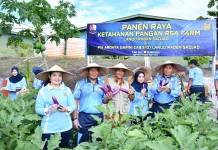 Panen Raya RSA Farm, Lanud Raden Sadjad Dorong Kemandirian Pangan