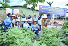 Lanud Raden Sadjad Dorong Kemandirian Pangan di Natuna