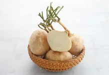 Manfaat Bengkuang bagi Kesehatan Wajah