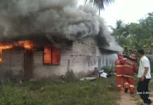 Kebakaran Hebat Hanguskan Rumah dan Gudang di Padang Kurak Natuna