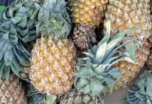 Fakta Menarik tentang Buah Nanas