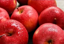 Manfaat Konsumsi Buah Apel Merah untuk Pencernaan