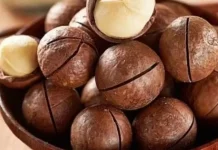 Manfaat Kacang Macadania untuk Ibu Hamil dan Janin