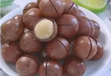 Manfaat Kacang Macadamia untuk Kesehatan Tubuh