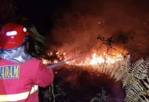 Damkar Natuna Padamkan Kebakaran Lahan di Sujung