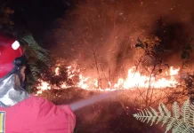 Damkar Natuna Tangani Kebakaran Lahan di Sujung