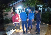 Damkar Natuna Evakuasi Sarang Tawon di Air Kolek Ranai Kota