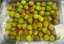 Kaya Antioksidan, Ini Ragam Manfaat Buah Leci untuk Kesehatan