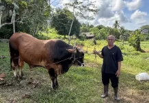 Hangatnya Idul Adha di Kampung Halaman