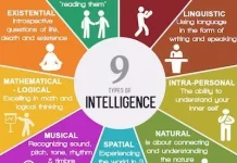 Mengenali 9 Jenis Kecerdasan Menurut Howard Gardner