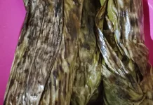 Pepes Ikan Teri Segar Jadi Menu Favorit Masyarakat Ranai