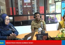 Midai Teratas Secara Kwalitas untuk Hewan Qurban di Natuna