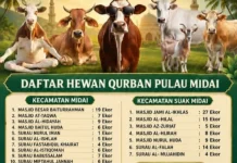 Hewan Kurban Pulau Midai Capai 173 Ekor