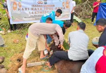 Polres Natuna Sembelih 4 Ekor Sapi Kurban, di Hari Raya Idul Adha 1447 H