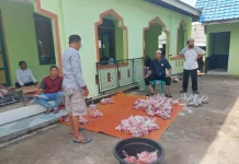 Surau Miftahul Janah Air Payang  Salurkan  Daging Qurban