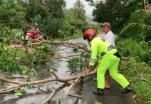 Bhabinkamtibmas dan Warga Evakuasi Korban Tertimpa Pohon di Bandarsyah