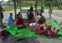 Bunguran Utara Data 14 Ekor Hewan Qurban
