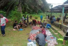 Masjid Nurul Huda Sembelih Tiga Ekor Sapi Qurban
