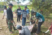 Sebanyak 74 Sohibul Qurban HKS Sembelih 12 Sapi