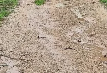 Masih Perlunya Sentuhan Perbaikan Jalan