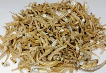 Protein Tinggi Ikan Teri Membantu Menurunkan Berat Badan