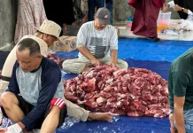 Jumlah Qurban IWKN Menurun Tahun Ini