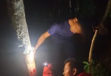 Damkar Natuna Basmi Sarang Tawon di Ranai Darat