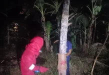 Damkar Natuna Tingkatkan Pelayanan Penanganan Non Kebakaran