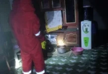 Damkar Natuna Evakuasi Sarang Tawon di SP 2 Tapau