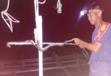 Damkar Natuna Tingkatkan Layanan Penyelamatan Non Kebakaran