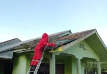 Damkar Natuna Evakuasi Sarang Lebah di Gang Tok Junet