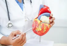 Pilihan Makanan Bernutrisi untuk Kesehatan Jantung