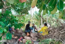 Dekat dengan Warga, Babinsa Air Putih Aktif Laksanakan Komunikasi Sosial