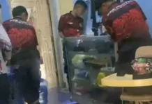 Damkar Natuna Evakuasi Ular di Permukiman Warga