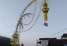 Filosofi Janur Kuning dalam Kehidupan Masyarakat Tradisional
