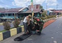 Babinsa Sedanau Bantu Amankan Cengkeh jelang Hujan