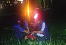 Damkar Natuna Evakuasi Sarang Tawon di Rumah Warga