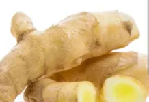 Manfaat Kunyit Putih yang Jarang di Ketahui