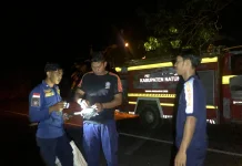 Damkar Natuna Evakuasi Sarang Tawon di Ranai Darat