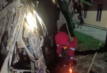 Damkar Natuna Evakuasi Sarang Tawon di Air Kolek Ranai