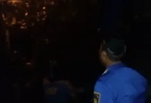 Damkar Natuna Evakuasi Sarang Tawon di Air Kolek