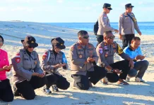 Hari Bhayangkara ke-80, Kapolres Natuna Lepaskan 100 Tukik di Pulau Senoa