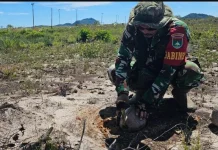 Dorong Pemanfaatan Lahan Produktif, Babinsa Serasan Bantu Warga Tanam Kelapa