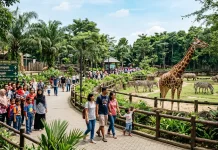 Kebun Binatang sebagai Sarana Edukasi dan Rekreasi Anak