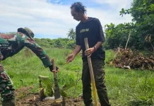 Babinsa Serasan Timur Dukung Warga Kembangkan Pertanian Pala