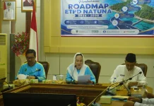 Bupati Natuna Pimpin High Level Meeting TP2DD
