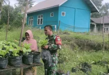 Babinsa Kadur Dukung Petani Sayur