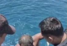 Salah Satu Korban KM Ocean Three Ditemukan Selamat  Bertahan Terapung