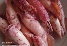 Cara Nikmati Seafood tanpa Tambahan Lemak Berlebih