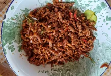Orek Tempe, Lauk Sederhana yang Selalu Menggugah Selera